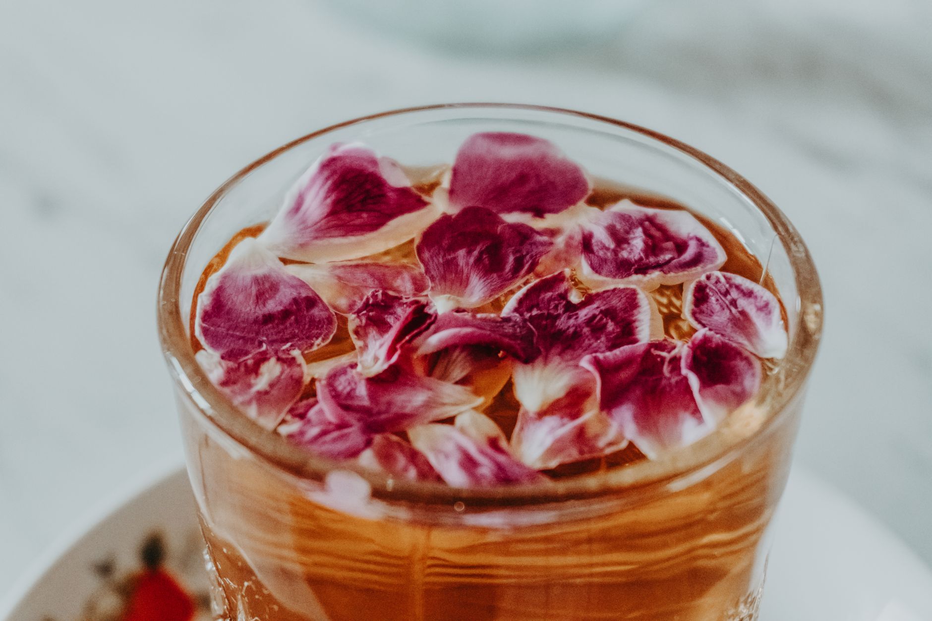 Rooibos et infusions : préparer une tasse sans théine